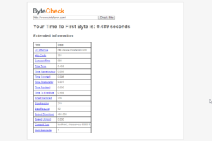 Byte Check - Check Your Time To First Byte